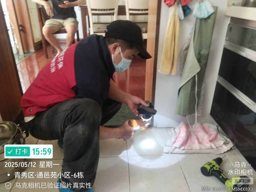 家庭白蚁防治