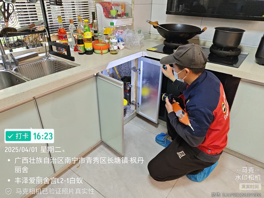 家庭白蚁防治