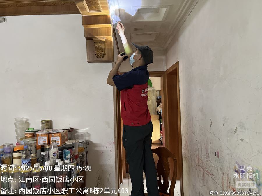 家庭白蚁防治