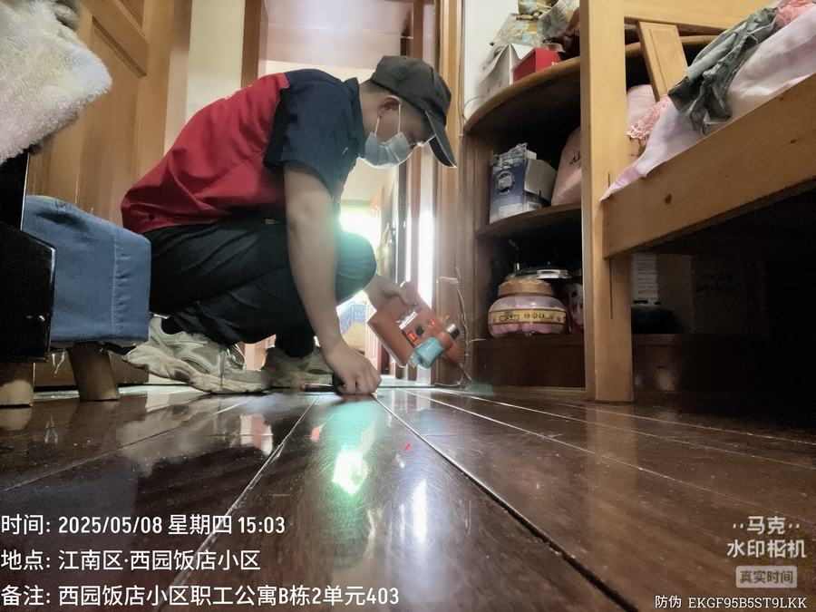 家庭白蚁防治