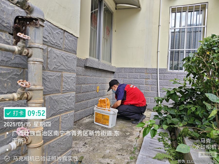 灭老鼠灭鼠