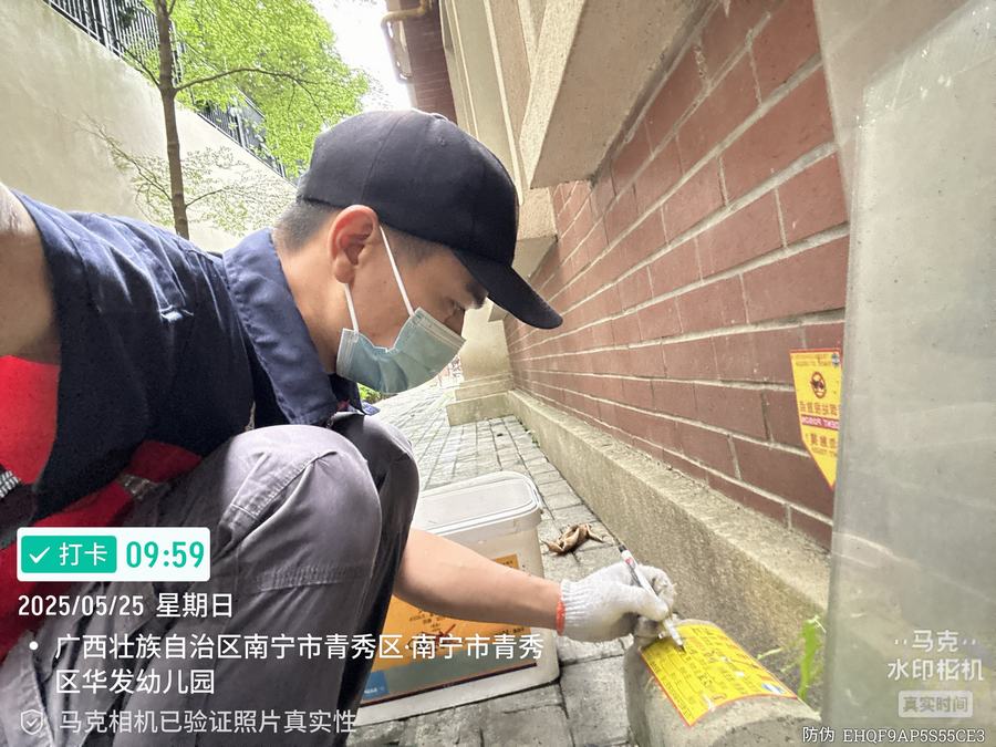 灭老鼠灭鼠