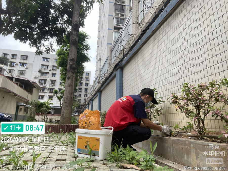 灭老鼠灭鼠
